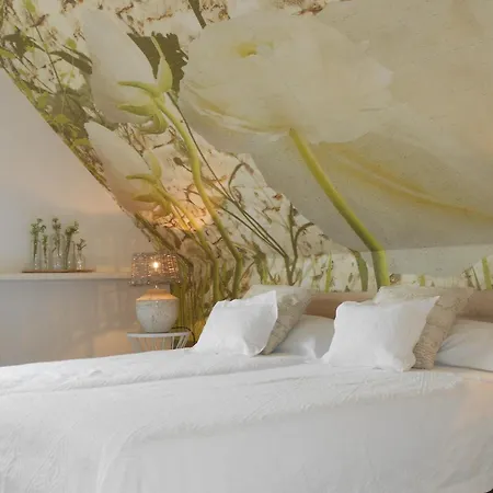 Nilsson Appartement *